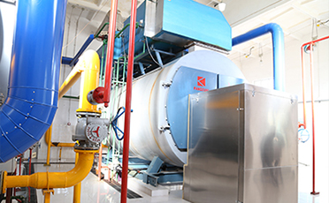 10蒸噸燃煤鍋爐改燃?xì)忮仩t